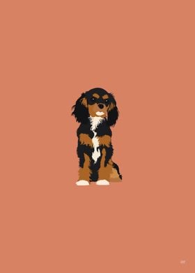 Cavalier King Spaniel Dog