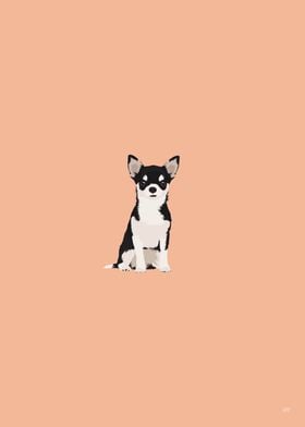 Chihuahua Dog Illustration