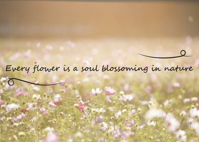 Every Flower Nature Quote