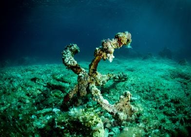 Old Anchor Underwater