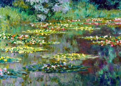 Water Lily Pond by Monet