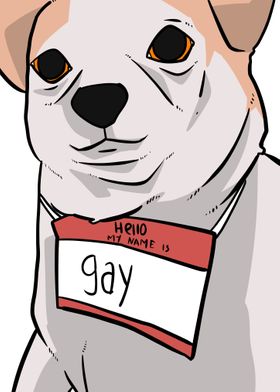 gay dog