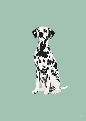 Dalmatian Dog Illustration