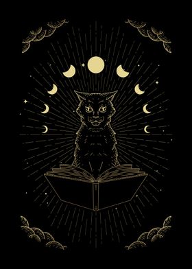 Mystical black cat