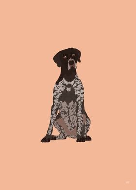 German Shorthaired Pointer