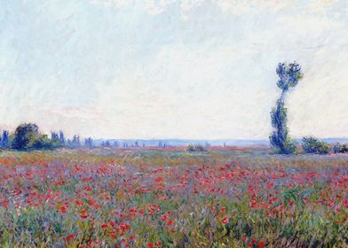 Poppy Field Claude Monet