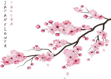 Realistic sakura branch