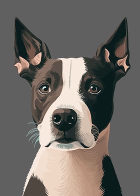 Portraits of dogs