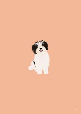 Havanese Dog Illustration