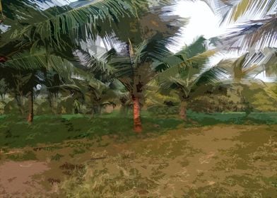 Coconut Trees New