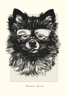 German Spitz Illustration