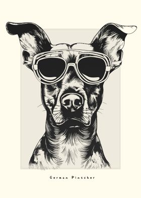 German Pinscher Sketch