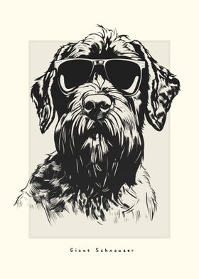 Giant Schnauzer Sketch