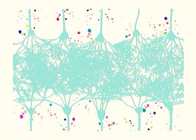 Cortical Neurons