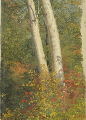 Birch Trees in Autumn 1865