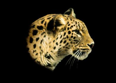 Leopard portrait