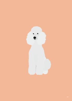 Poodle Illustration