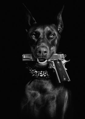 Dog Bit The Gun