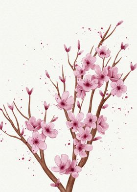 Cherry blossoms