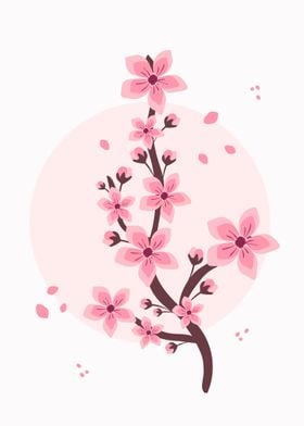 Cherry blossoms