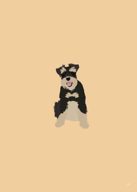 Miniature Schnauzer Dog