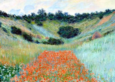 Poppy Field in a Hollow