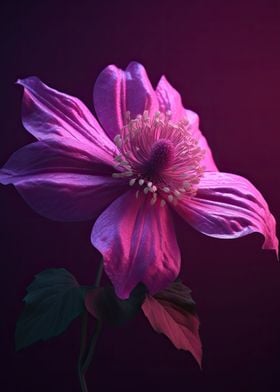 Clematis Flower