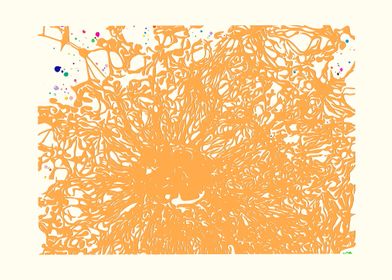 Embryonic Stem Cells