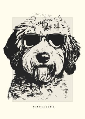 Goldendoodle Illustration