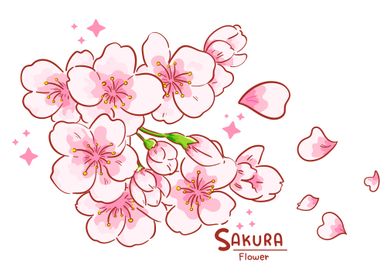 Sakura flowers