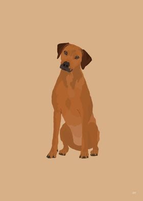 Rhodesian Ridgeback Dog