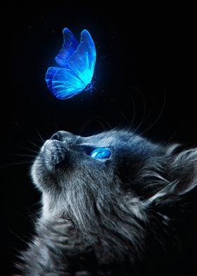 Cat and Butterfly