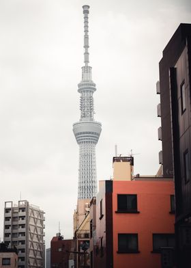 Tokyo sky tree