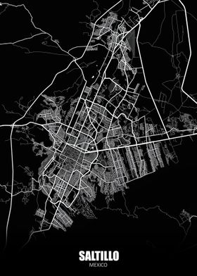 Saltillo Mexico Map