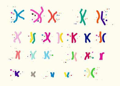 Female Chromosome