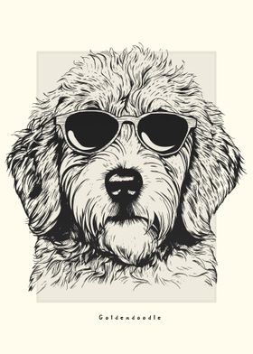 Goldendoodle Illustration