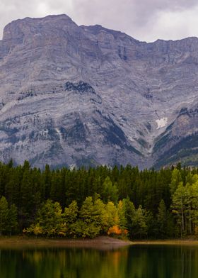 Wedge Pond