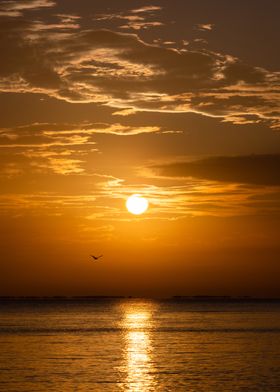 Cuban Sunset