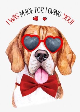 Beagle Dog Love