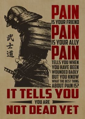 Samurai quotes pain