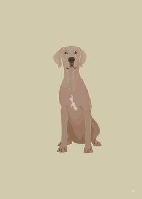 Weimaraner Illustration