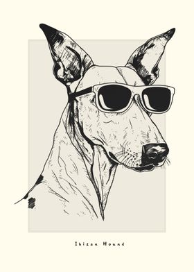 Ibizan Hound Illustration