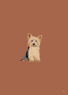 Yorkshire Terrier Dog