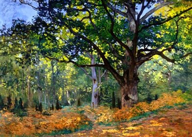 The Bodmer Oak by Monet