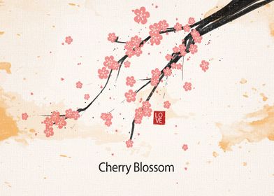 Cherry blossom flower