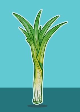 Leek Plant