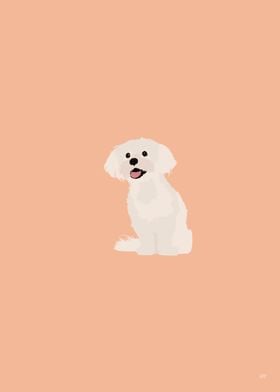 Shih Tzu Dog Illustration