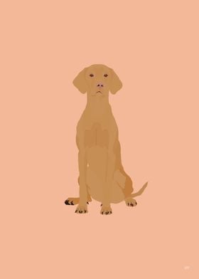 Vizsla Dog Illustration