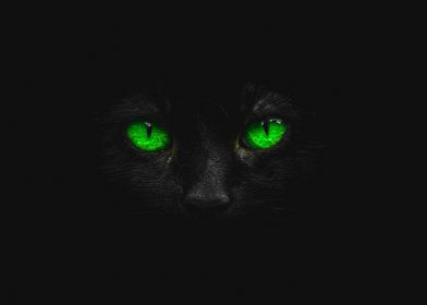 mysterious green cat eyes