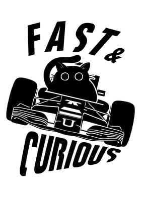 Fast And Curious Cat